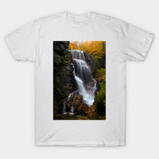 Avalanche Falls T-Shirt